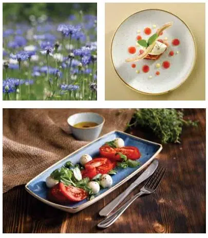 Churchill Stonecast Cornflower Blue Geschirr