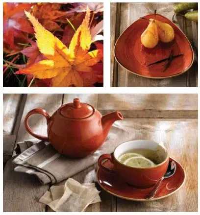 Churchill Stonecast Spiced Orange Geschirr