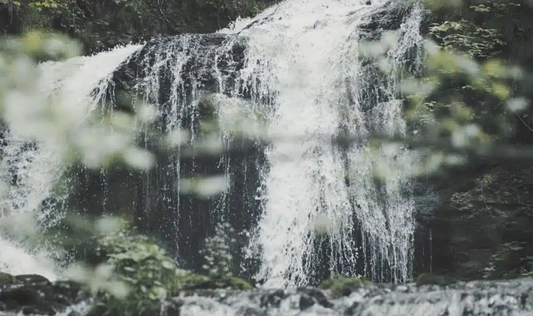 SLYRS Whisky echter bayerischer Single Malt