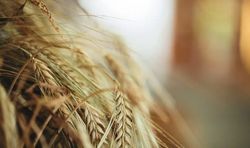 SLYRS Whisky echter bayerischer Single Malt