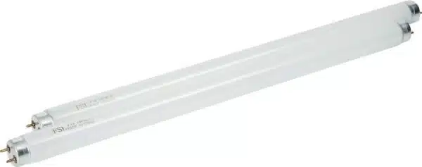 934159_2019