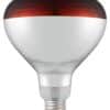 919217_shatterproof_bulb-red_02