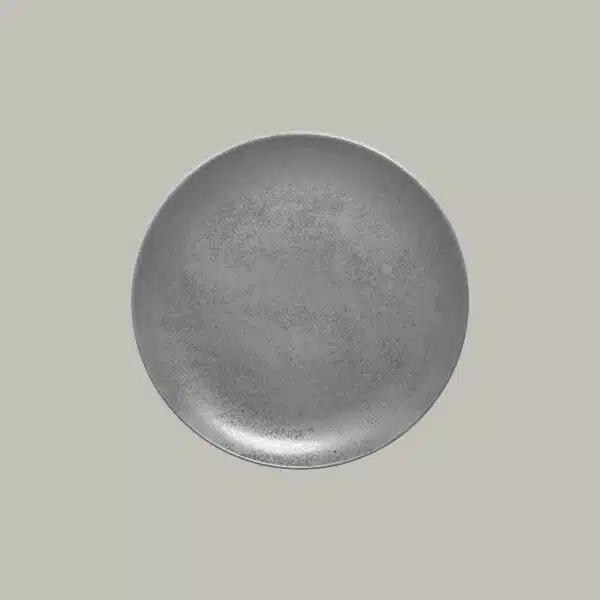 SHNNPR31