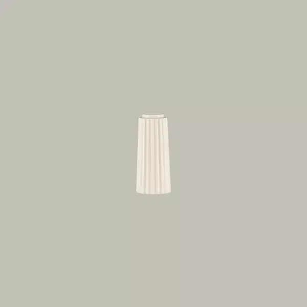 BCSPFV01