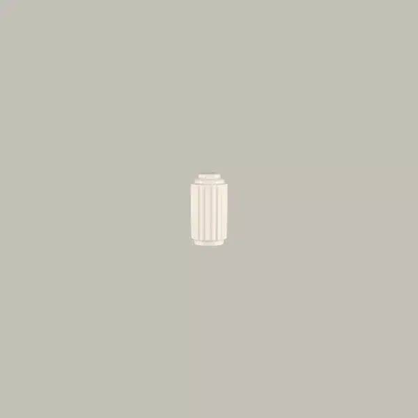 BCSPSS01