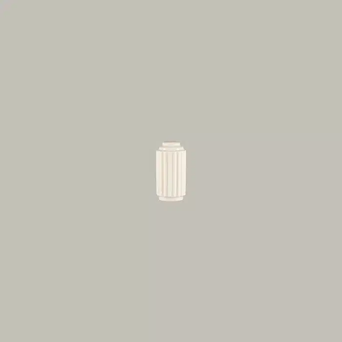 BCSPSS01