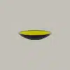 FRNNDP23GR