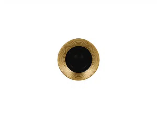 MAEVSA15GB