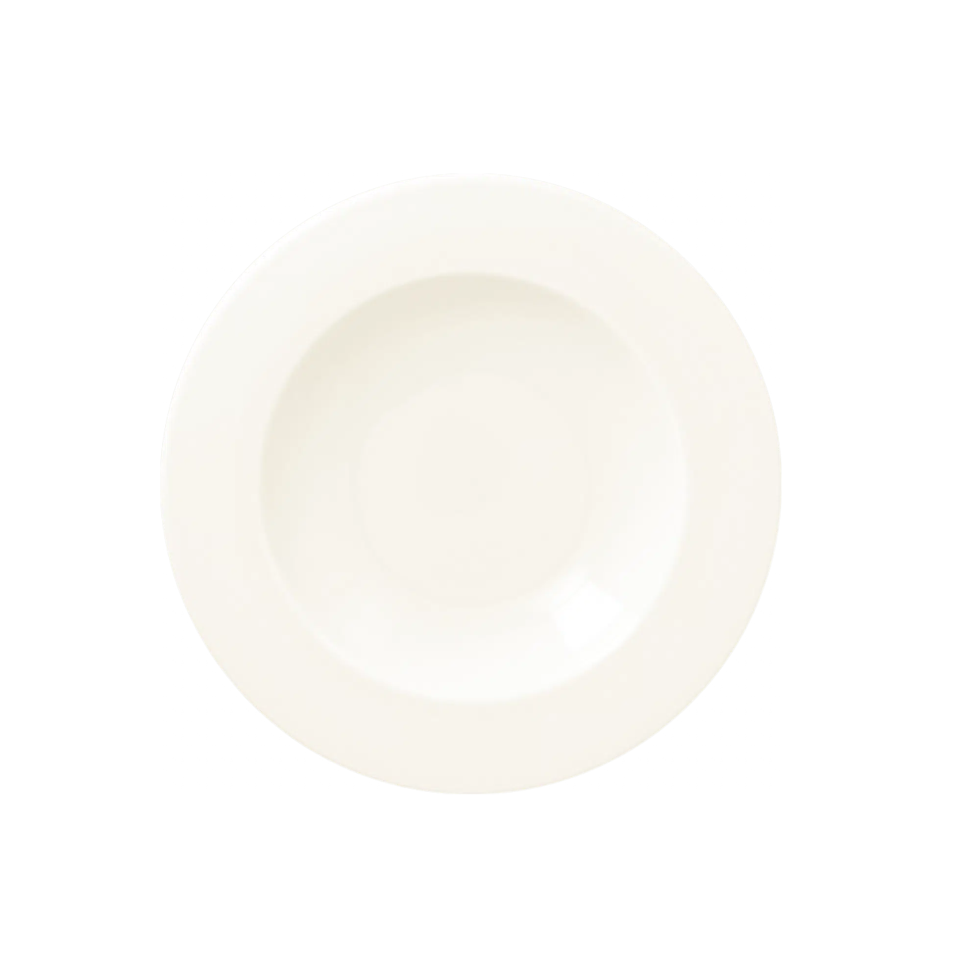 CODP23