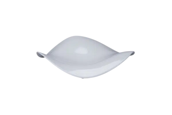 BCFSASDP27