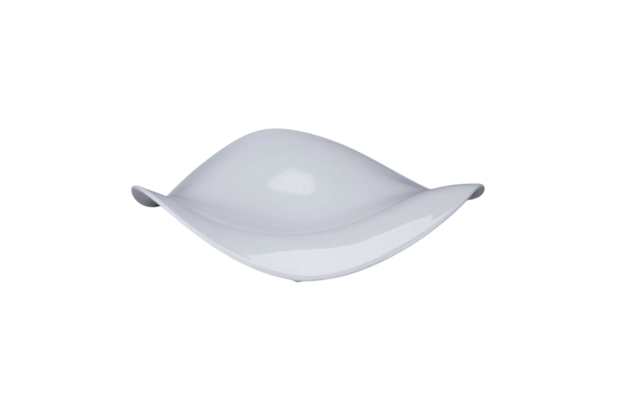 BCFSASDP27