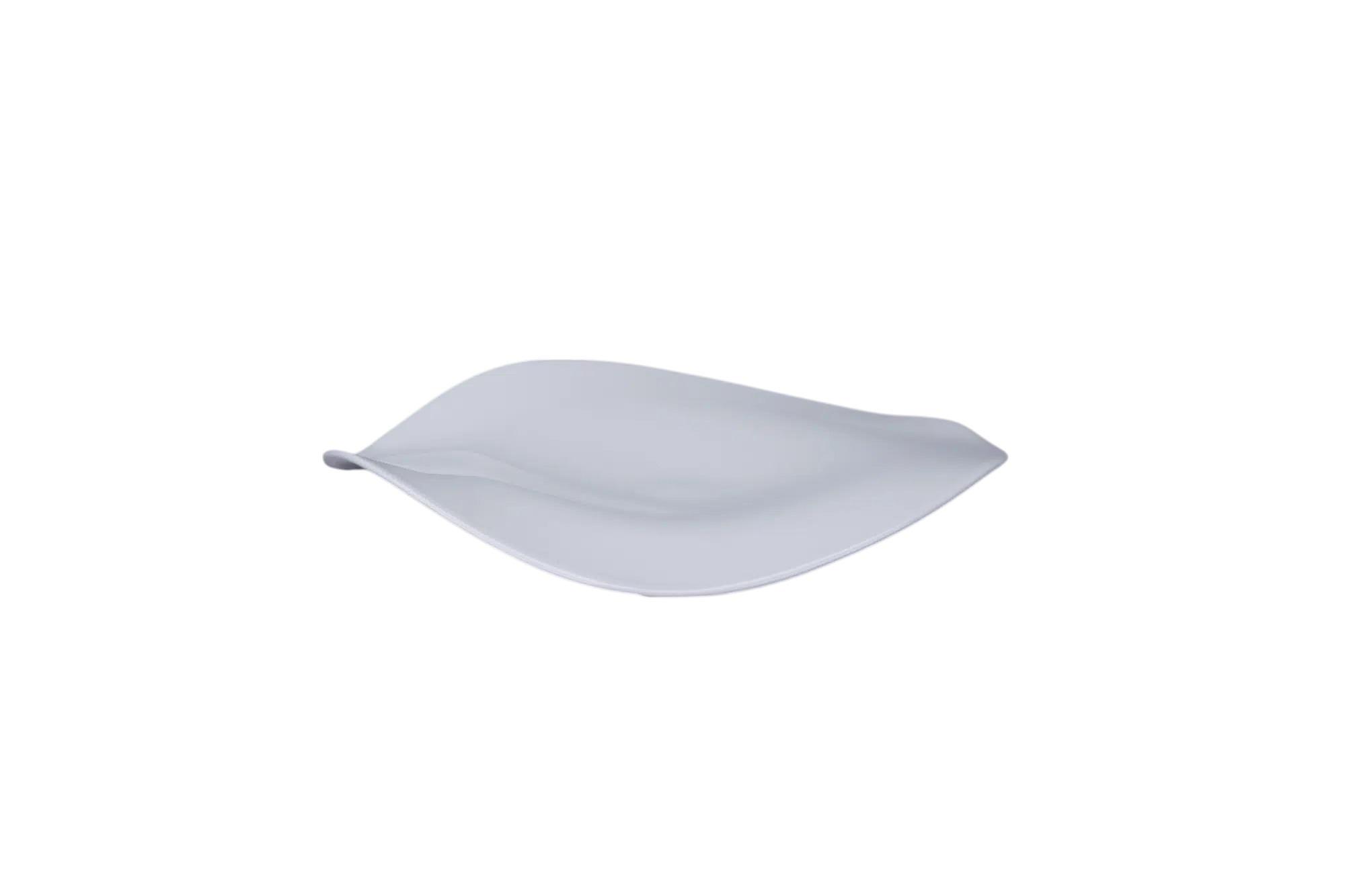 BCFSASP25