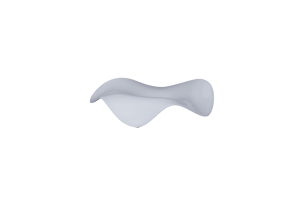 BCFSASP21