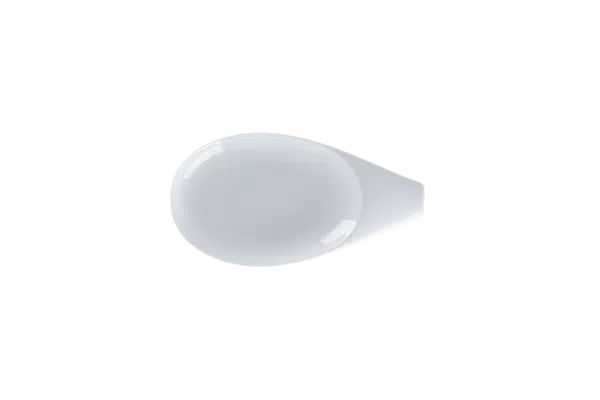 BCFSBTDH24