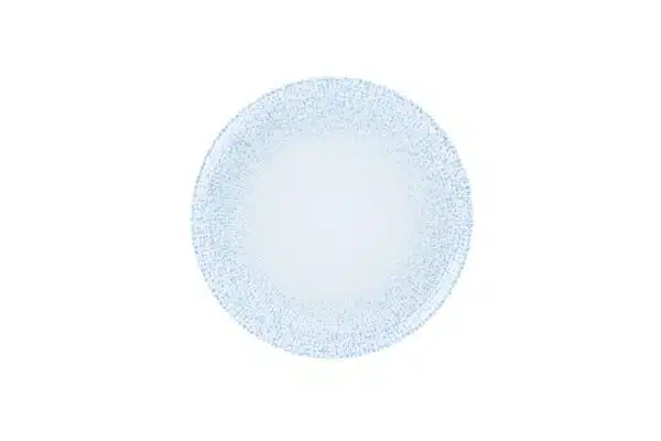 DGNNPR24IC