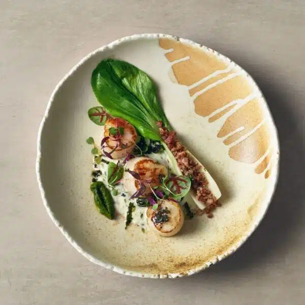 Roko Porcelain