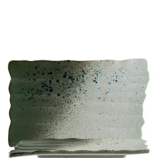 GAI31DT_1